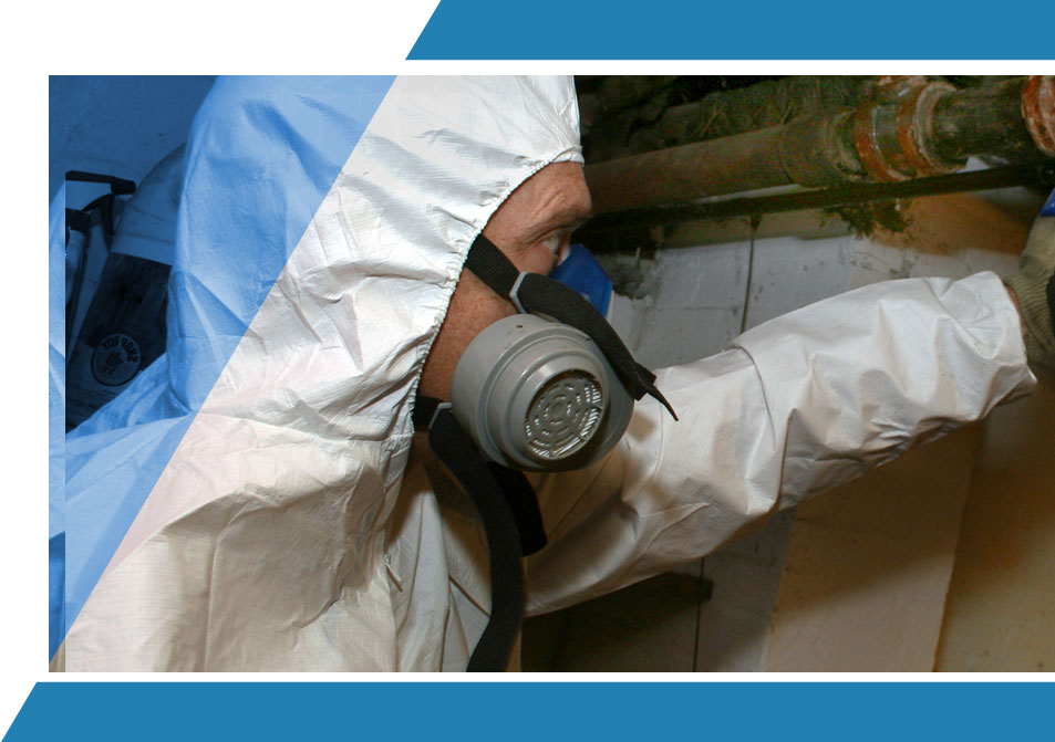 Asbestos testing service